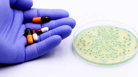 Antibiotiques, lorsque les bactéries font de la résistance