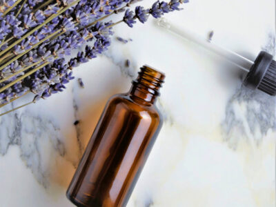 Hiver 2025/26 – La quintessence de la plante