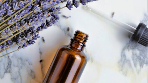 La quintessence de la plante