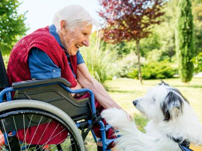 Printemps 2026 – Un thérapeute qui a du chien