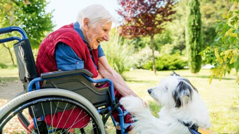 Un thérapeute qui a du chien